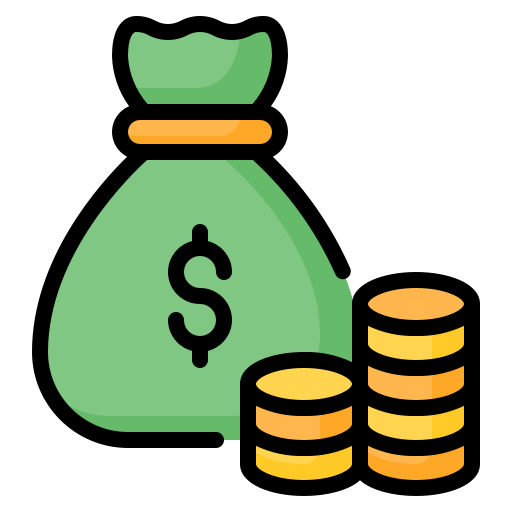 coins bag